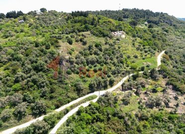 imgf65e85e0-5118-469d-9a9c-75631a182066