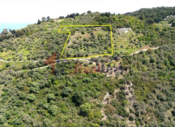 Image No.4-Property for sale