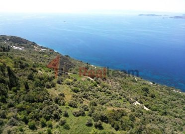 img7dcec4c9-fb9d-4f22-991a-c9fd86af4de5