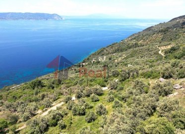 imgd51fa3a1-123f-464d-b99c-fd7078cd1b35