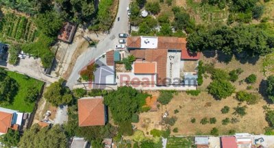 img29251c6a-8495-4615-a4a7-c6478fa4f0a9