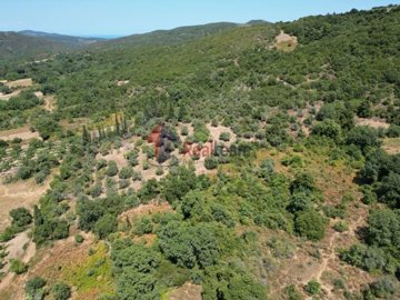 img63aaa664-e47b-4efe-8e0a-80b270e48423