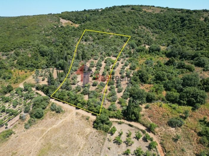 Image No.2-Property for sale