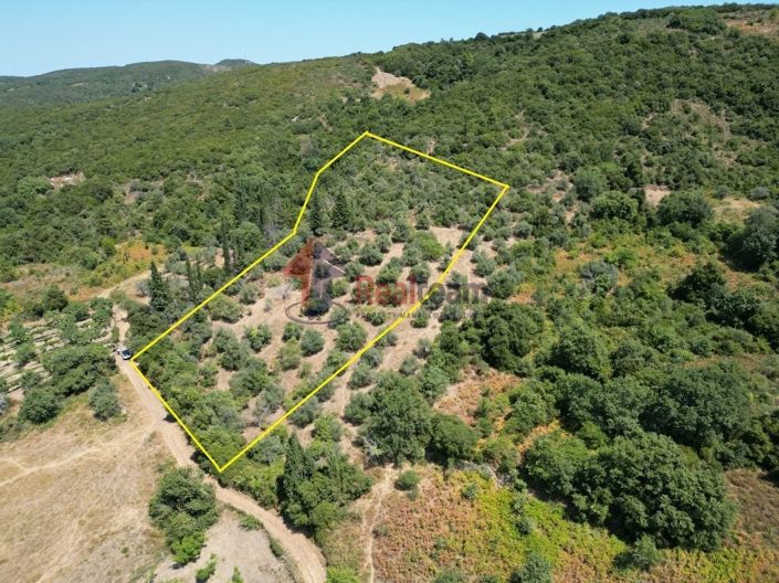 Image No.3-Property for sale