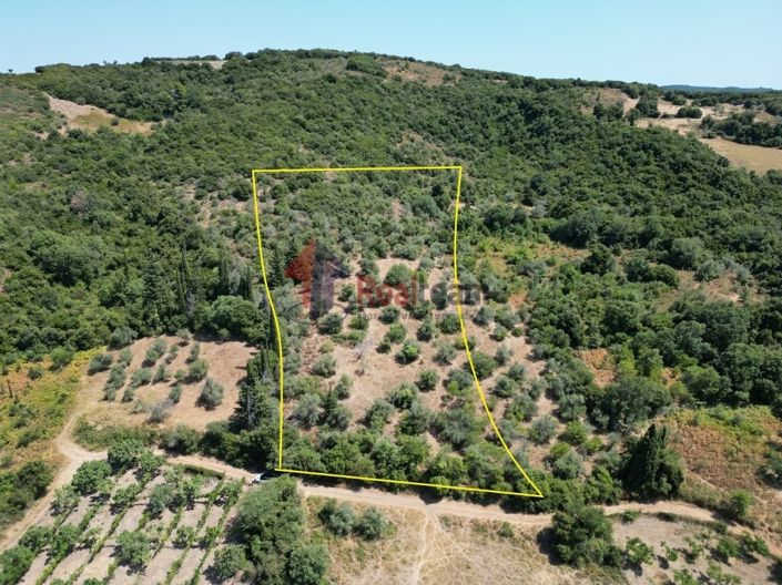 Image No.5-Property for sale