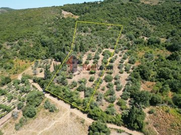 imgeb5da576-be90-4bfc-ac3a-07909b9a5151