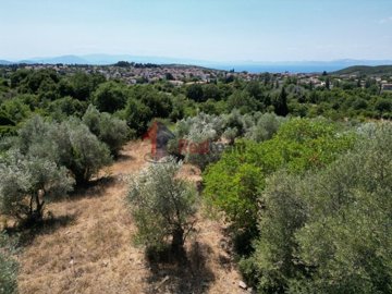 imgab33ca8b-b3e9-4faa-bdcf-b88a24fe6544