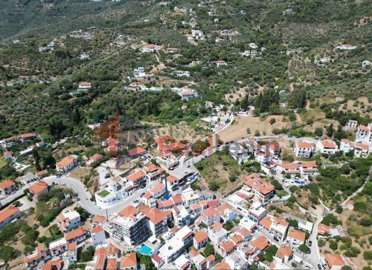 img1f143939-2548-4aec-8c59-c7db64c49455