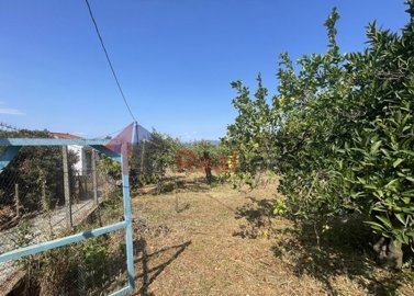 imgd7b36055-767c-403c-bfdb-c727c249a17f