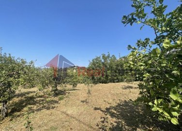 img189d1a2c-cd0c-4679-8770-be263536b88e