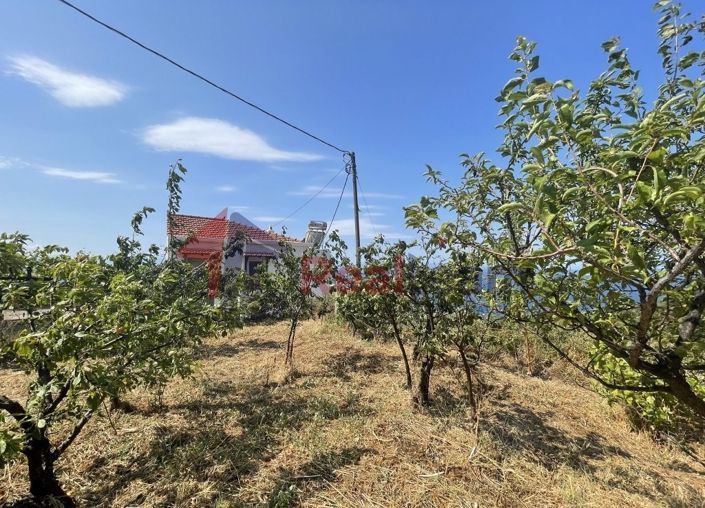 Image No.22-Property for sale