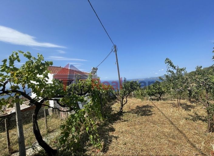 Image No.24-Property for sale