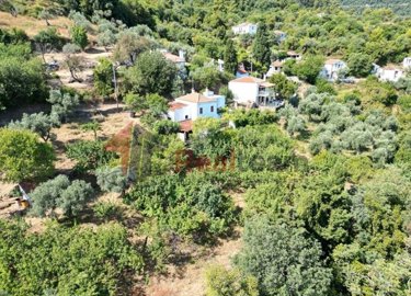 imgca317138-b603-494a-9e0b-5d1528dc9a1b