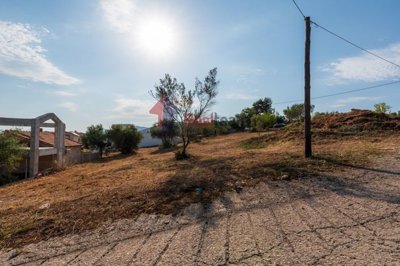 imgd22c9a41-35b8-4e8e-9e53-b36b8f1f3bdf