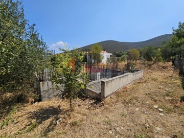 img45413e9b-1d96-4eb5-875b-a75bed53f1f9