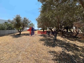 img8b314304-3a5c-4ca2-b01c-4509678a3285