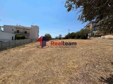 img3349094a-fb65-4b6a-9fd0-0ae937239075