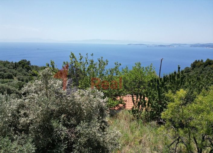 Image No.14-Property for sale