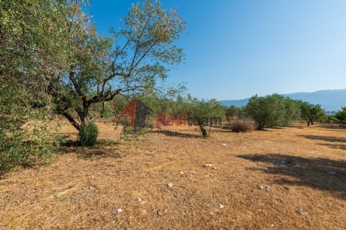 Image No.19-4 Bed Property for sale