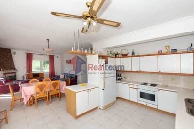 imgcdd90609-3997-41a2-951f-688731b4a9b3