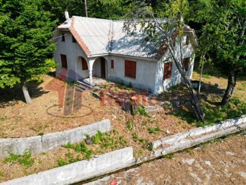 img151efe31-edca-4311-b3dc-4f6de0feea28