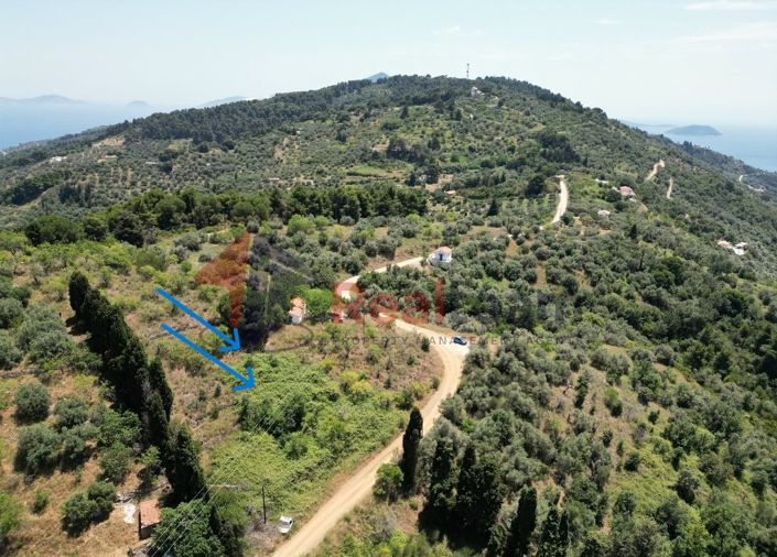 Image No.1-Property for sale