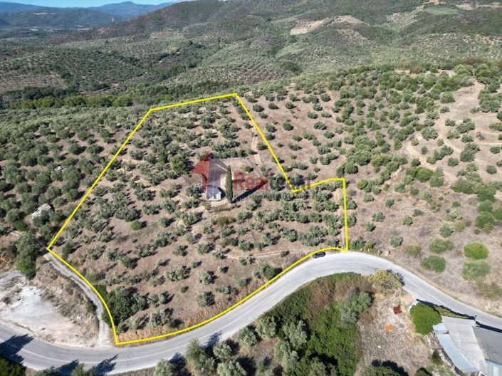 Image No.1-Property for sale