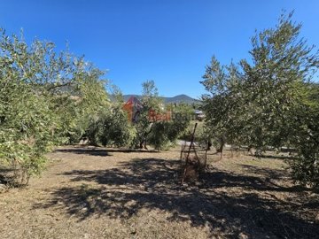 imge82a348a-52fa-43ee-b8a5-52c4cca0aebc