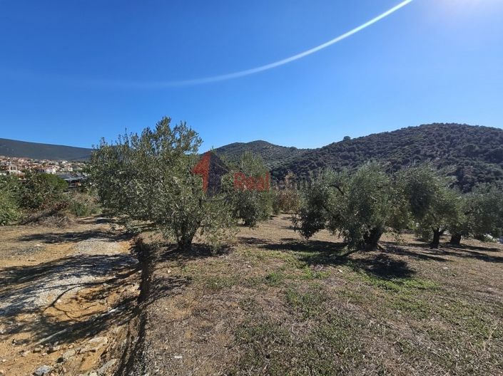 Image No.11-Property for sale