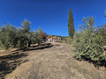 img7166238f-2dd1-4709-8807-0d70f1dc0b4d