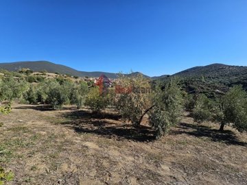 img8ed97d3e-9986-43f0-83cb-c775791811cc