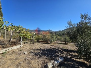 img9c8d2f0c-6b5d-422b-bac6-9434f1e786fa