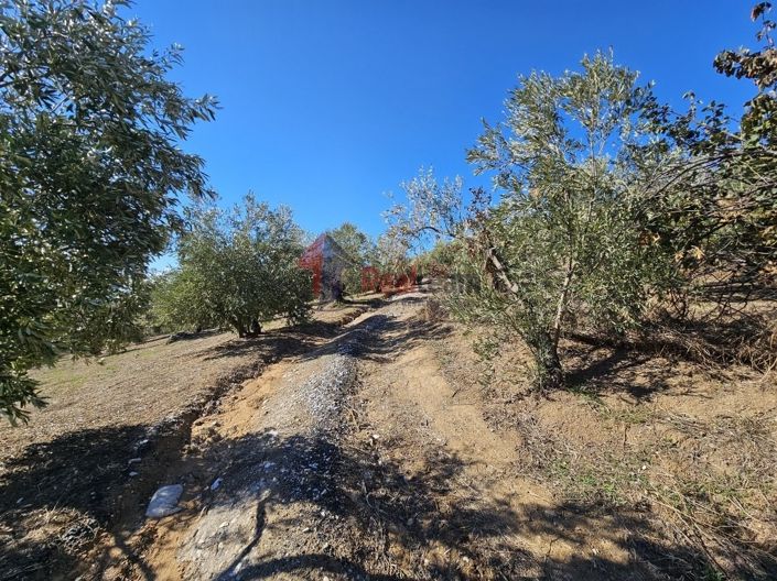 Image No.16-Property for sale