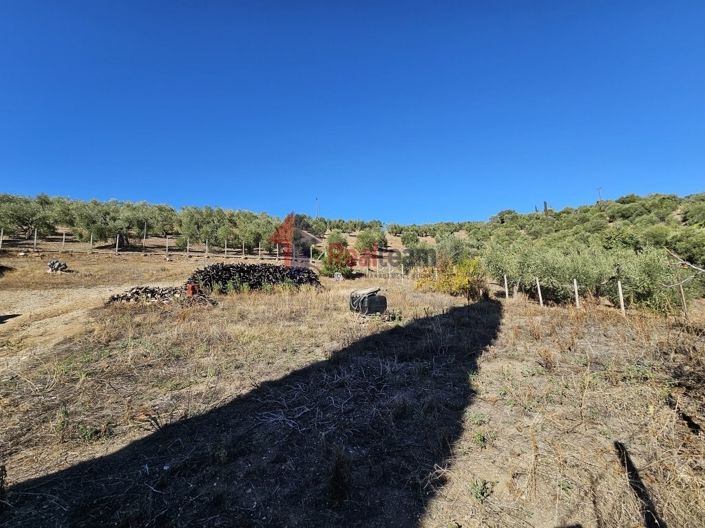 Image No.17-Property for sale