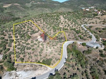 img6d3d57b3-decd-4559-821d-41bd5b497e27