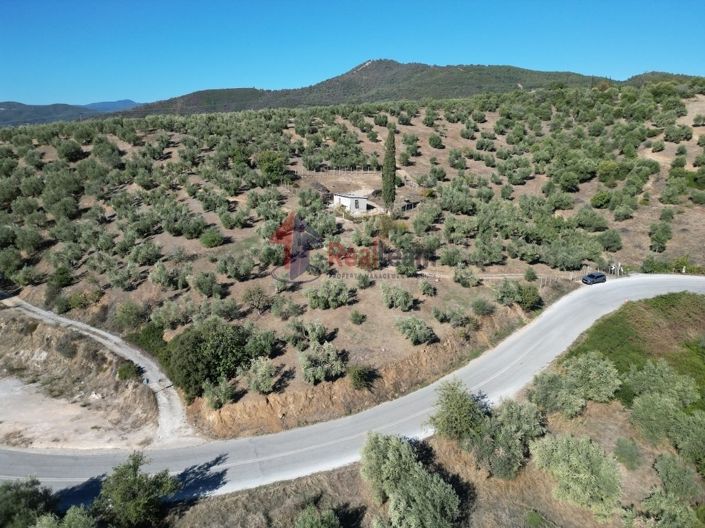 Image No.24-Property for sale