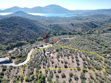 img6ff41d1e-9614-4166-b364-d37383dd370b