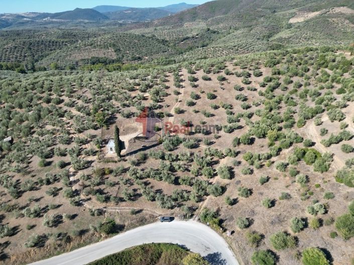 Image No.5-Property for sale