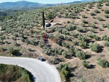 imgce6d3820-fe9d-47d5-8f3b-18dc0872d91a