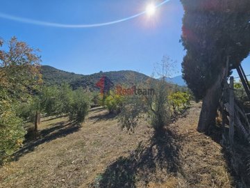 img3d741802-329b-4e8a-856d-caa34cd62ac5