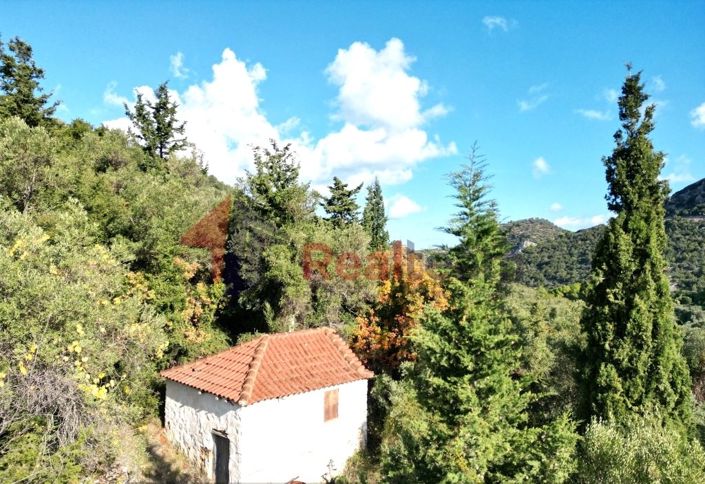 Image No.11-Property for sale