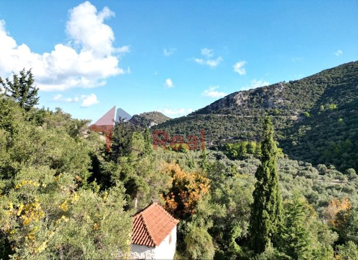 Image No.12-Property for sale