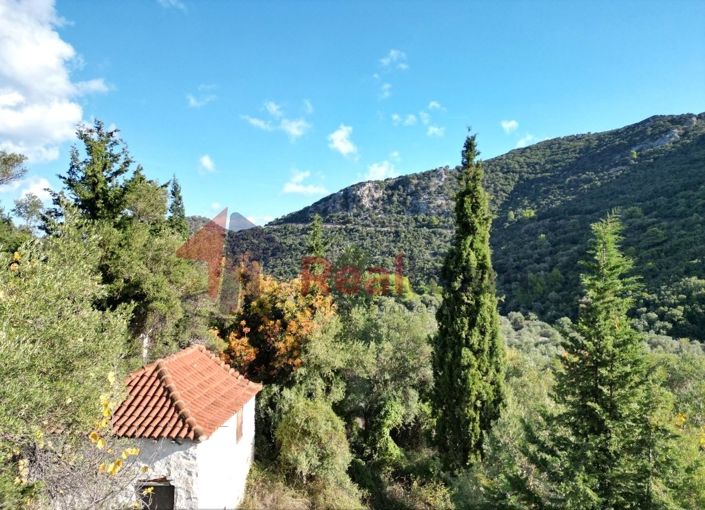 Image No.13-Property for sale