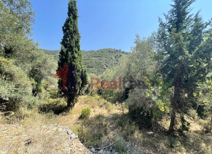 Image No.16-Property for sale