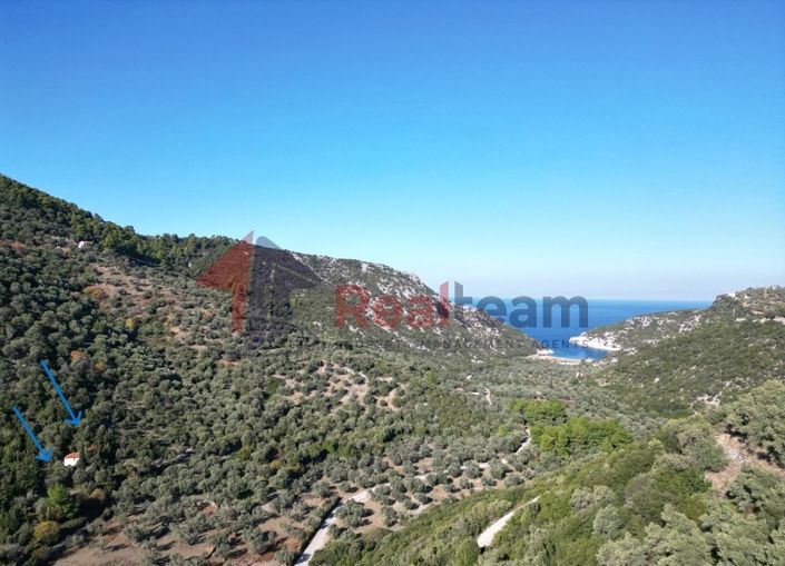 Image No.2-Property for sale