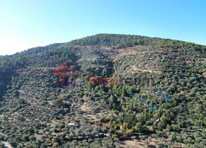 Image No.3-Property for sale