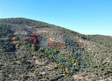 img16ee515d-0018-4caf-b133-cf6c2976313a