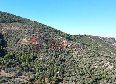 img6320fbb2-c0b0-4122-bdfb-e393ae5a21cc