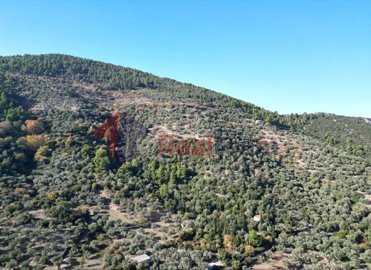 img319d73d2-f635-4c05-b9d9-3232c5621ac5