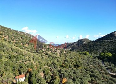 img5c3d9796-2666-4562-80f0-c79b4dd81c1c